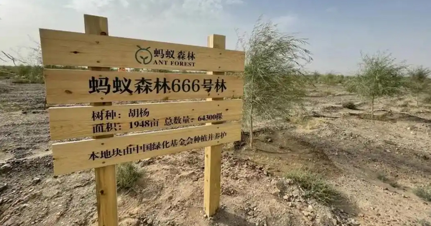 Alipay Ant Forest