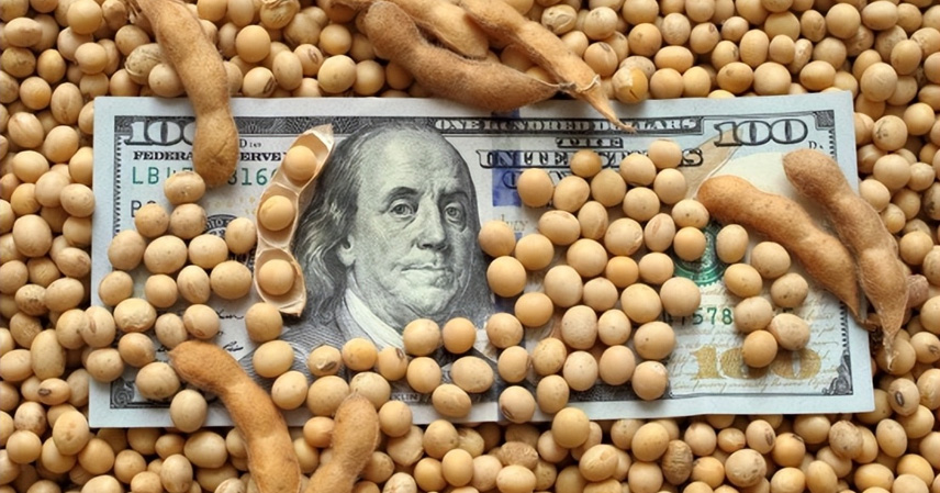 U.S. soybeans