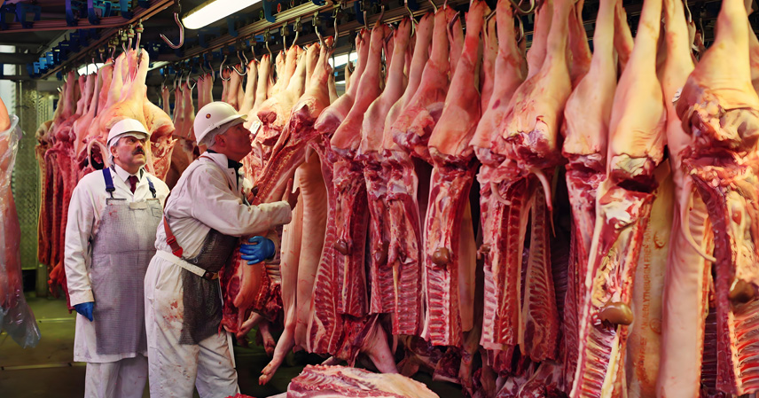 EU pork