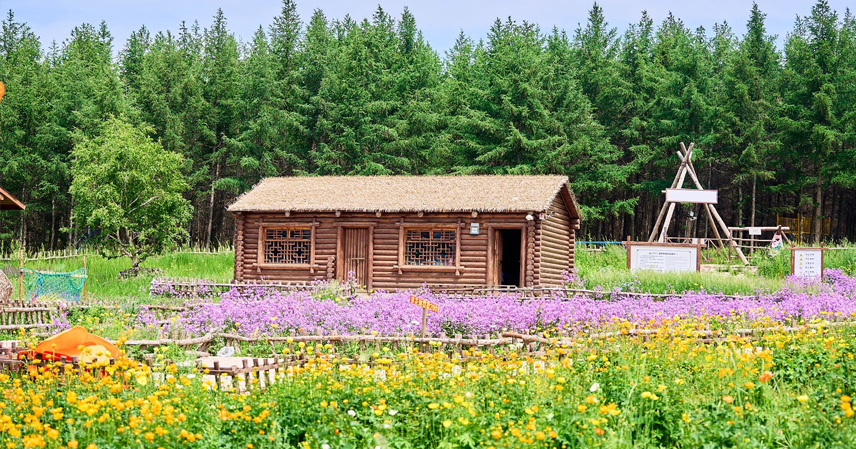 Escape to Fengning Bashang Grassland: A 3-Day Self-Drive Odyssey from Beijing