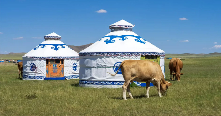 The Ingenious Secrets of Mongolian Yurts: Thriving in -40°C Winters with Natural Warmth