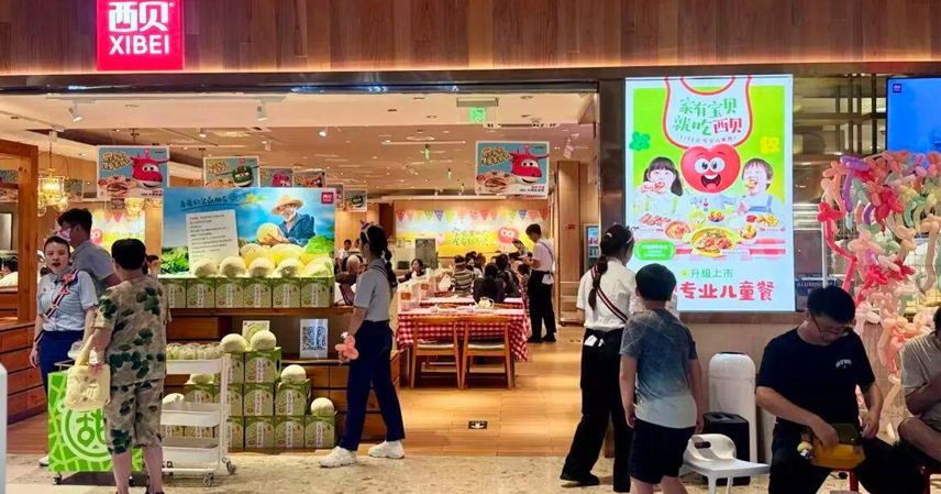 Pre-Made Dishes in Premium Eats: Why China's Model Stands Alone Amid Growing Backlash