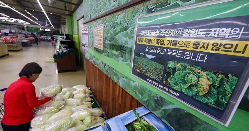 Can South Korea Really Ditch Chinese Cabbage Imports to Counter Beijing?